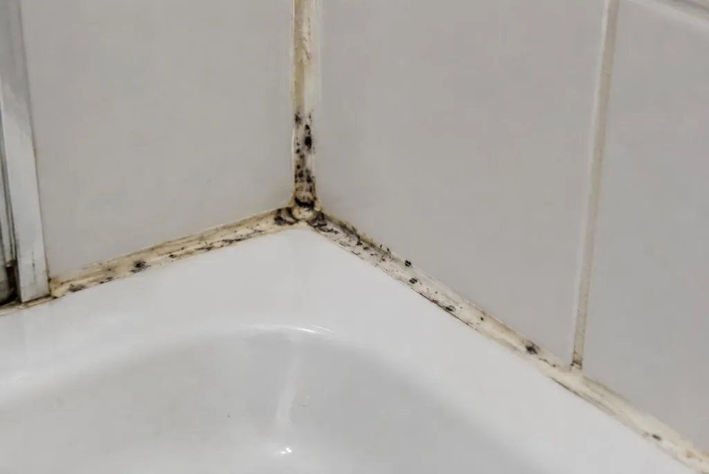 Kitbedrijf Doetinchem – beschimmelde kitranden